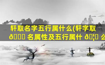 轩取名字五行属什么(轩字取 🐅 名属性及五行属什 🦅 么)